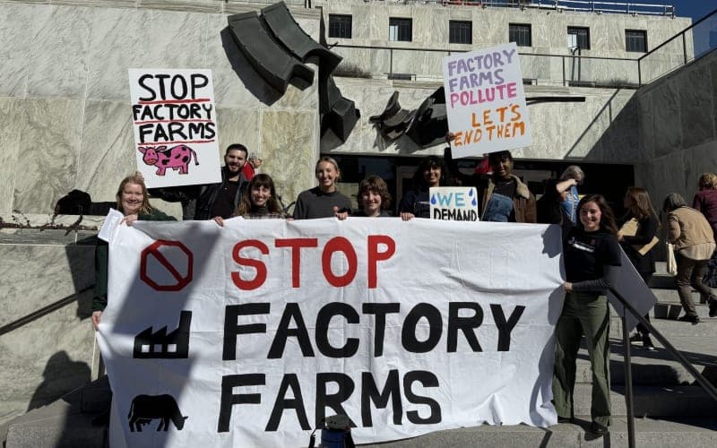 Governments Urged to Stop Subsidising Harmful Factory Farms and Support Sustainable Farming